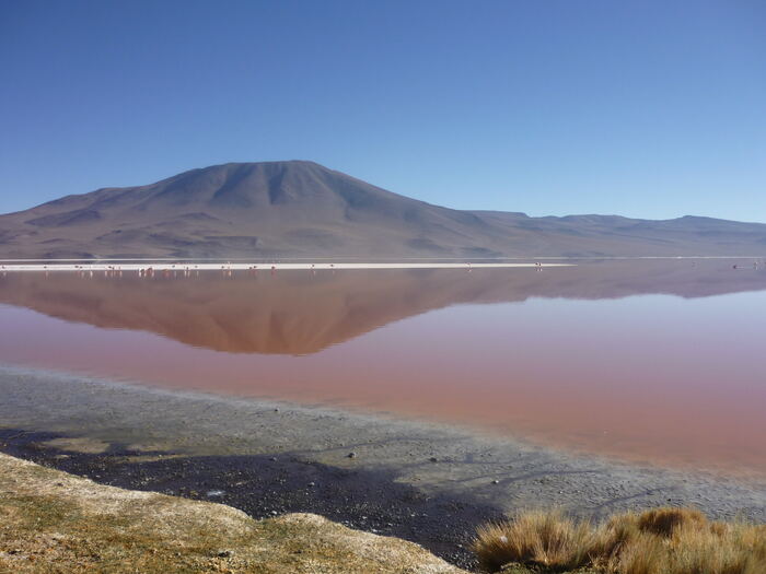 Gran Recorrido Boliviano